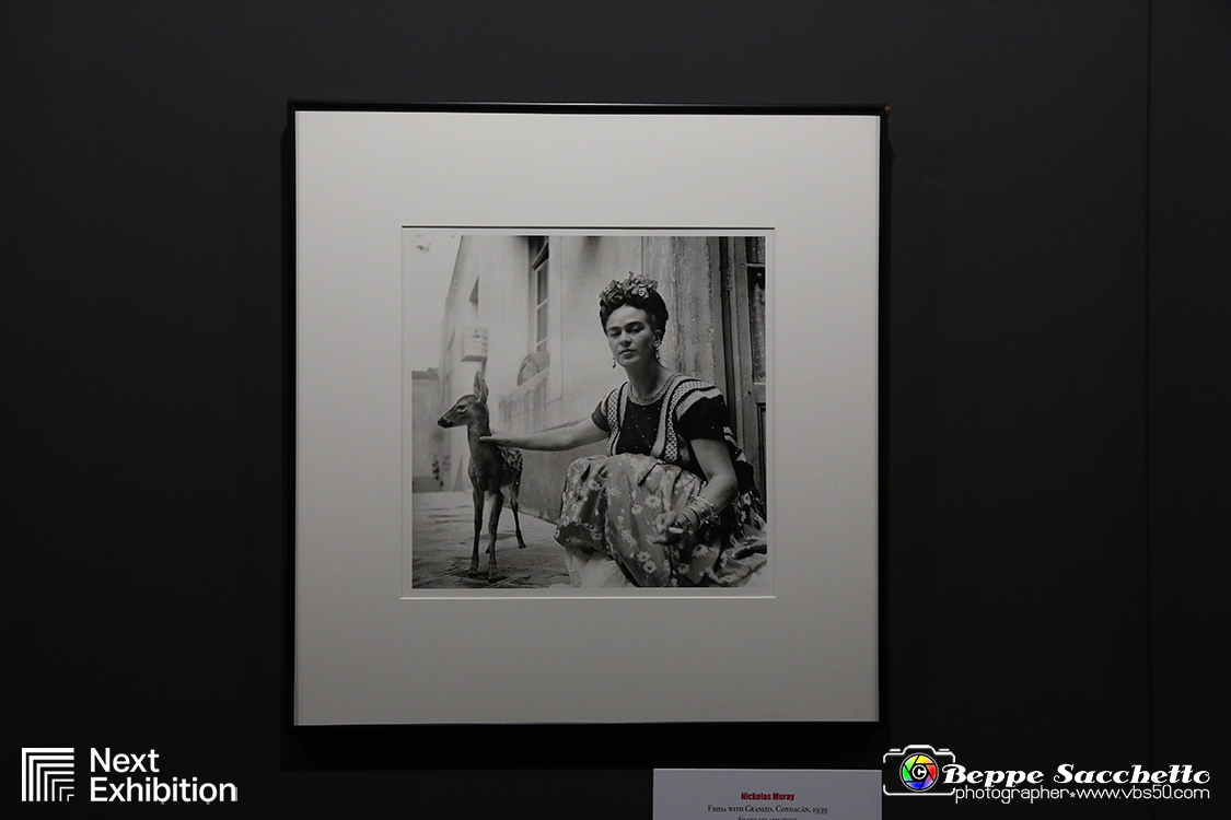 VBS_5495 - Mostra Frida Kahlo Throughn the lens of Nickolas Muray.jpg